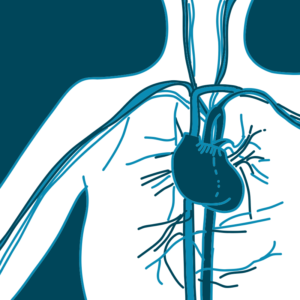Cardiologia - Casa di Cura Sant Antonino